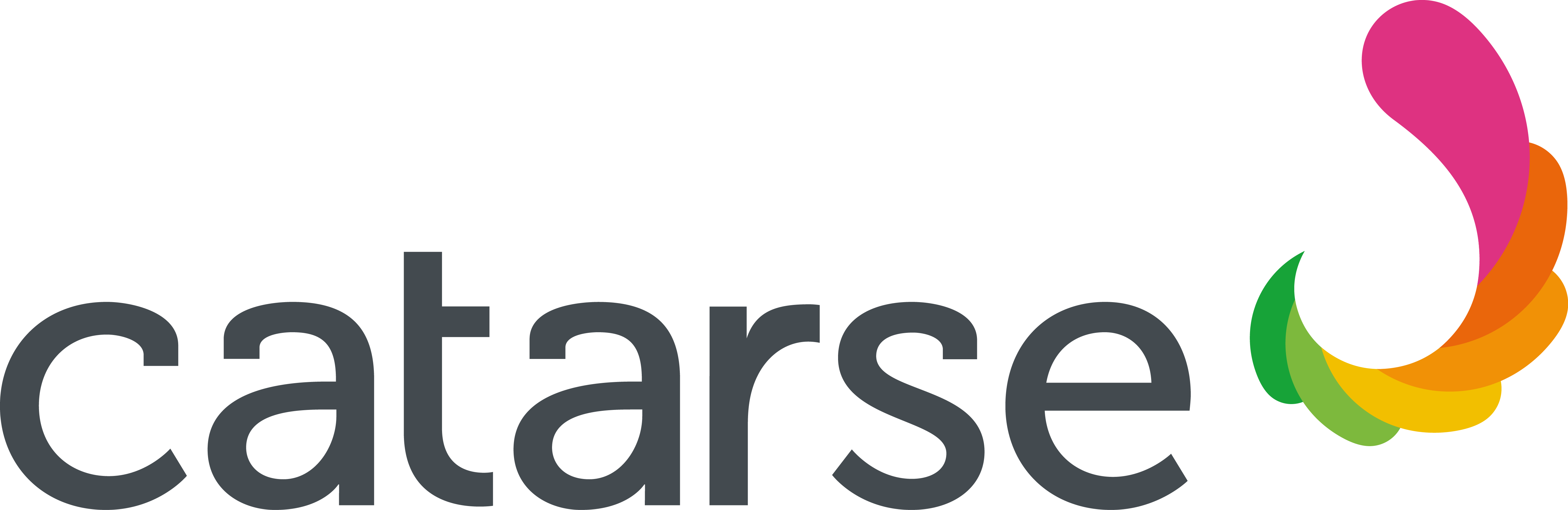 logo do catarse